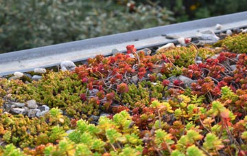 the cost of Knolton green roof installation