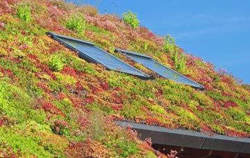 Knolton living roof systems